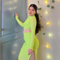 Waist Cut Mesh Dress