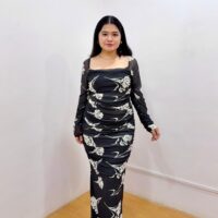 Printed Bodycon Mesh Gown