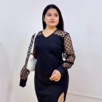 Sheer Sleeves Black V-neck Bodycon Dress