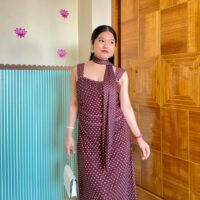 Brown And White Polka Dot Mesh Dress